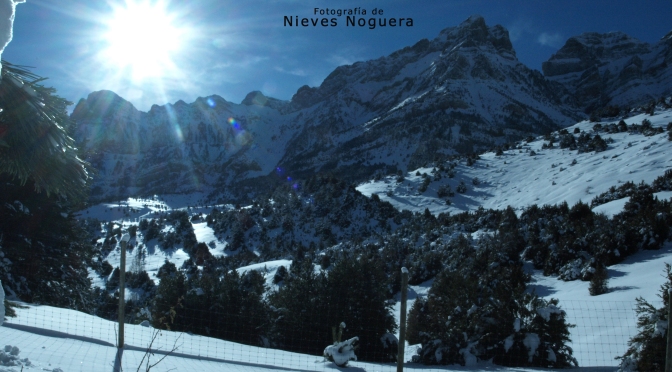 En el blog: Leyendo con Nieves